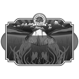 SOUTHERN ORGANICS & SUPPLY S O