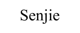SENJIE