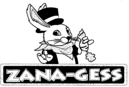 ZANA-GESS