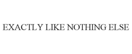 EXACTLY LIKE NOTHING ELSE