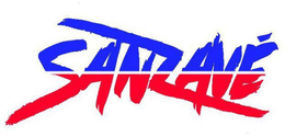 SANZAVE