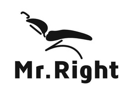MR. RIGHT
