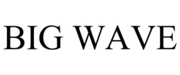BIGWAVE
