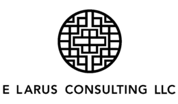 E LARUS CONSULTING LLC