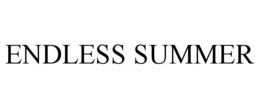 ENDLESS SUMMER