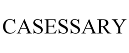 CASESSARY
