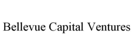 BELLEVUE CAPITAL VENTURES