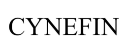 CYNEFIN