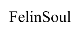 FELINSOUL