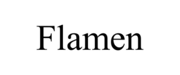 FLAMEN