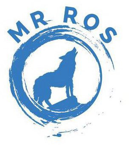 MR ROS