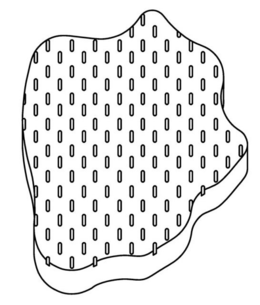 Unknown Mark
