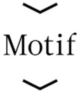 MOTIF