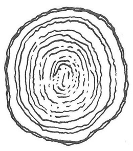 87982257