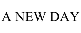 A NEW DAY