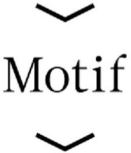 MOTIF