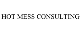 HOT MESS CONSULTING