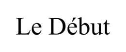 LE DÉBUT