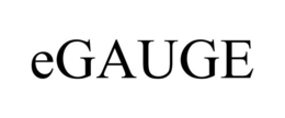 EGAUGE