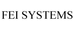 FEI SYSTEMS