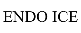 ENDO ICE