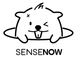 SENSENOW