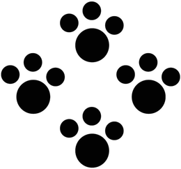 88201021