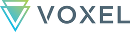 VOXEL V