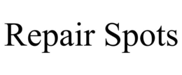 REPAIR SPOTS