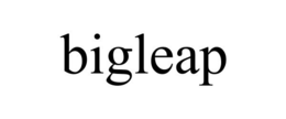 BIGLEAP