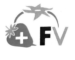 FV