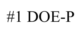 #1 DOE-P