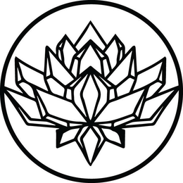88259827