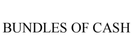 BUNDLES OF CASH