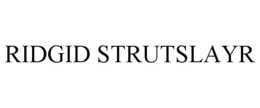 RIDGID STRUTSLAYR