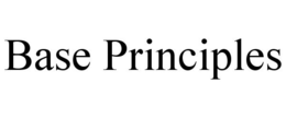 BASE PRINCIPLES