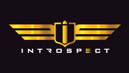 INTROSPECT I