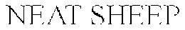 NEAT SHEEP