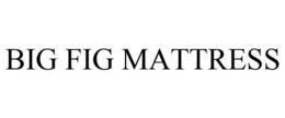 BIG FIG MATTRESS