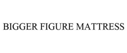 BIGGER FIGURE MATTRESS