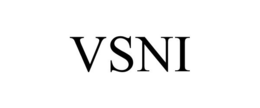 VSNI