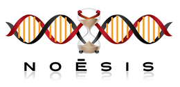 NOESIS