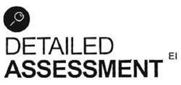 DETAILED ASSESSMENT EI