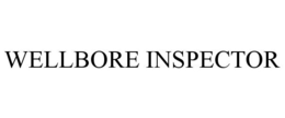 WELLBORE INSPECTOR