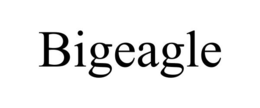 BIGEAGLE