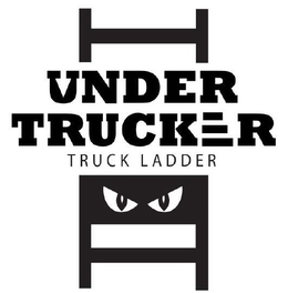UNDER TRUCKER TRUCK LADDER