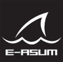 E-ASUM