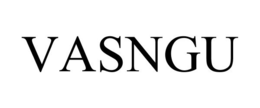 VASNGU