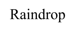 RAINDROP