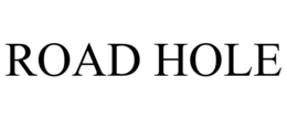 ROAD HOLE